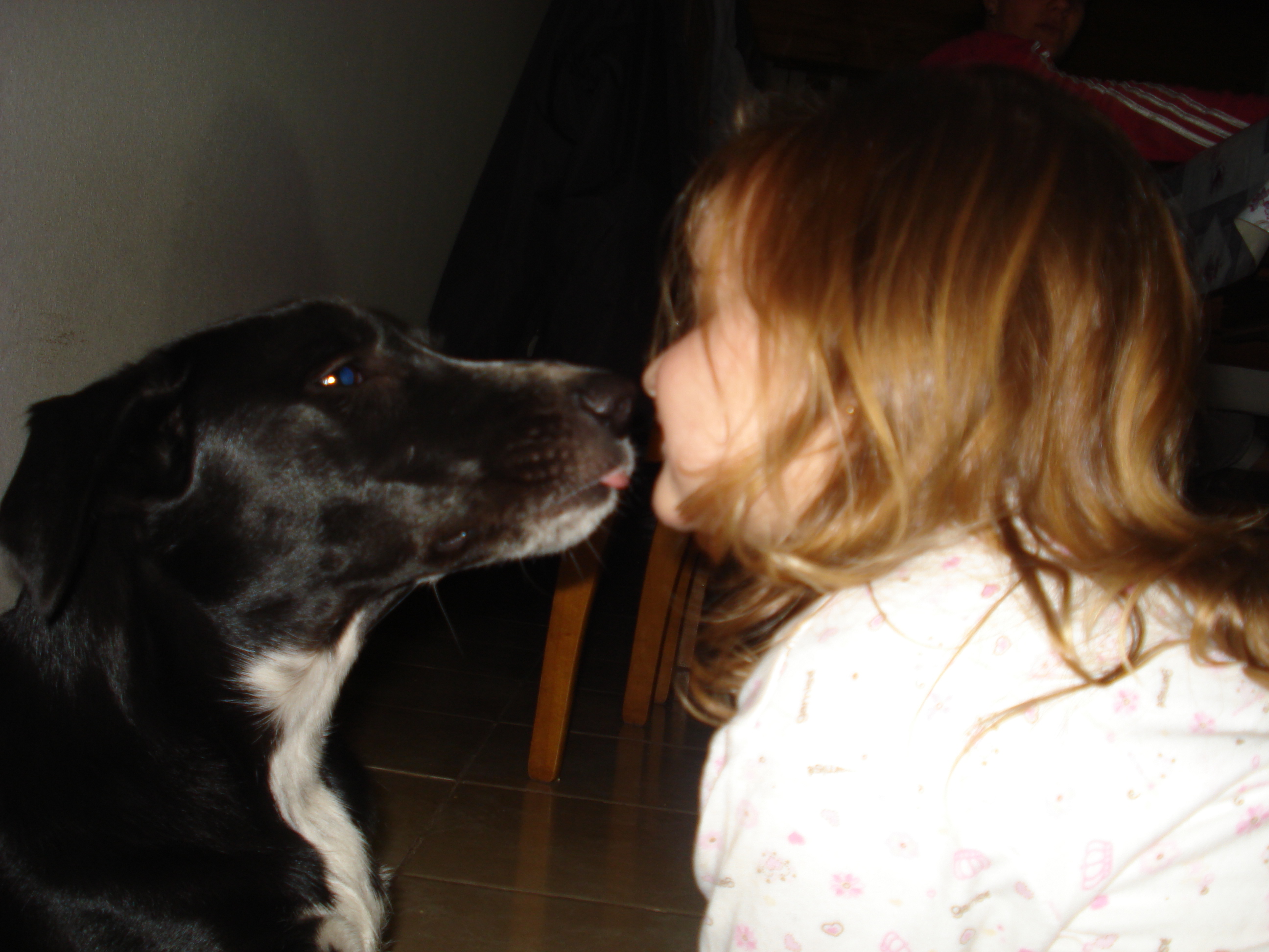 fotos/2012-12-25 - Iara con la notebook/DSC04355.JPG